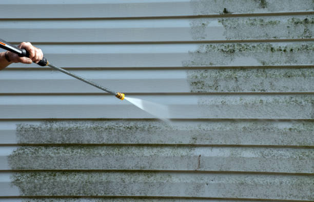 Best Deck Pressure Washing  in Ajo, AZ
